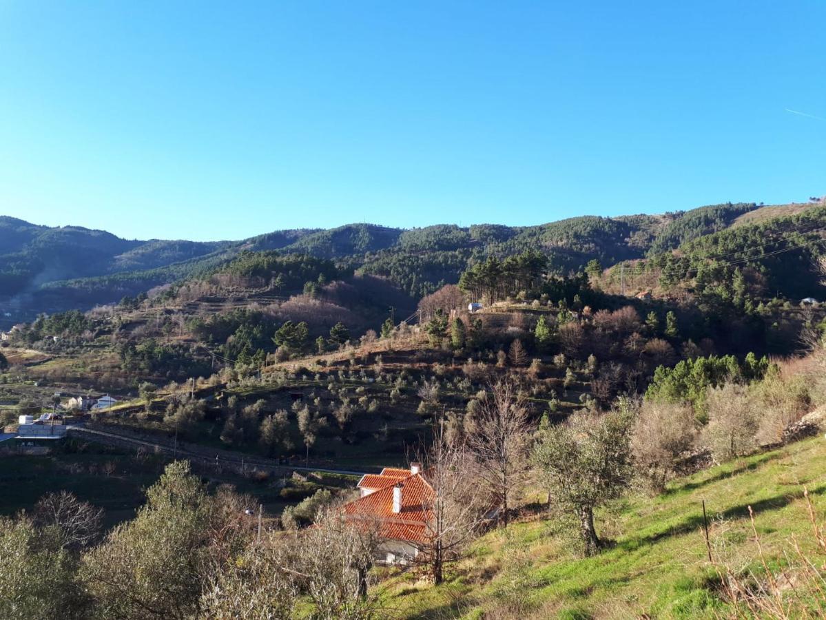 Casa Das Oliveiras - Manteigas Exteriör bild