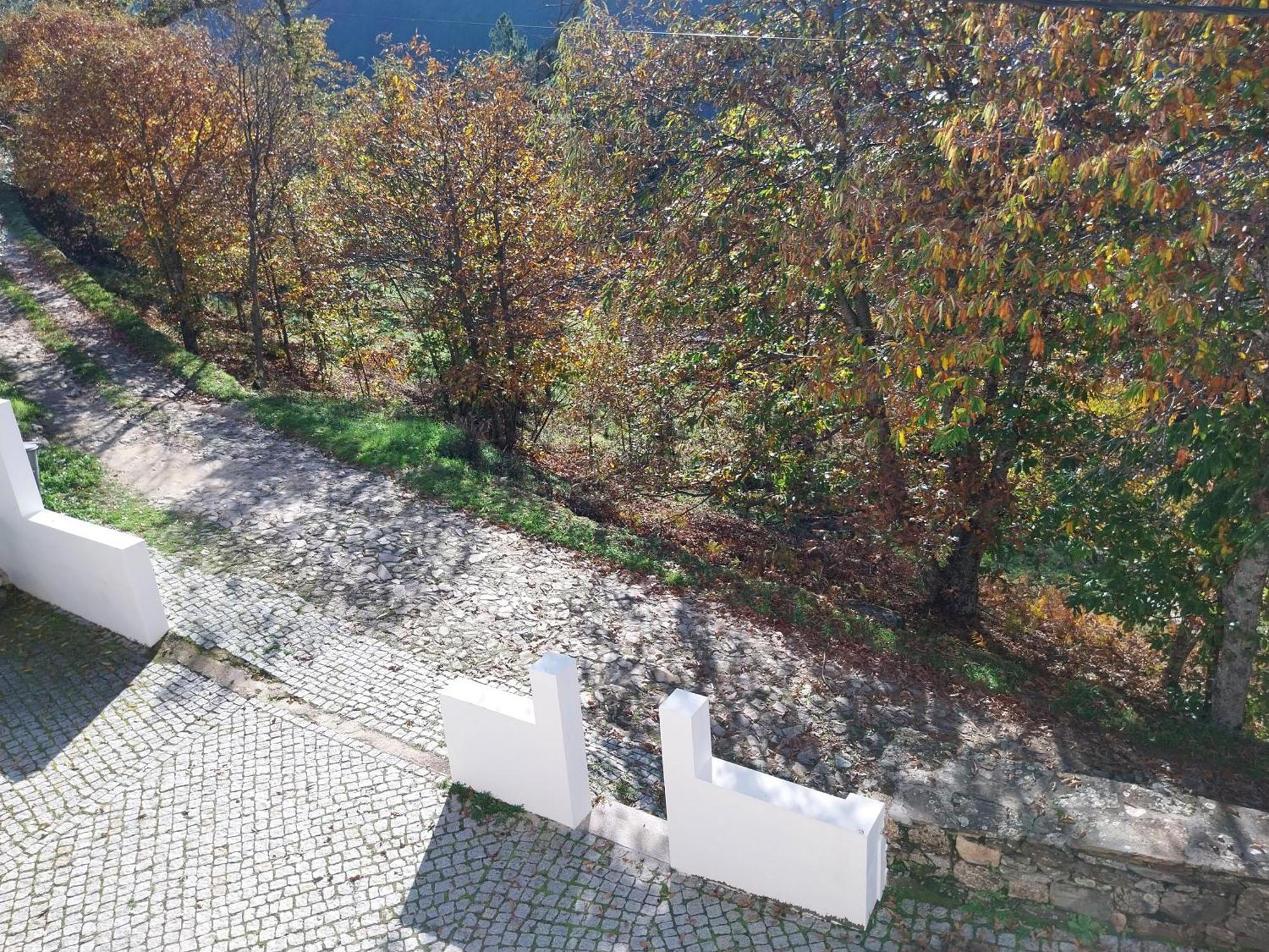 Casa Das Oliveiras - Manteigas Exteriör bild