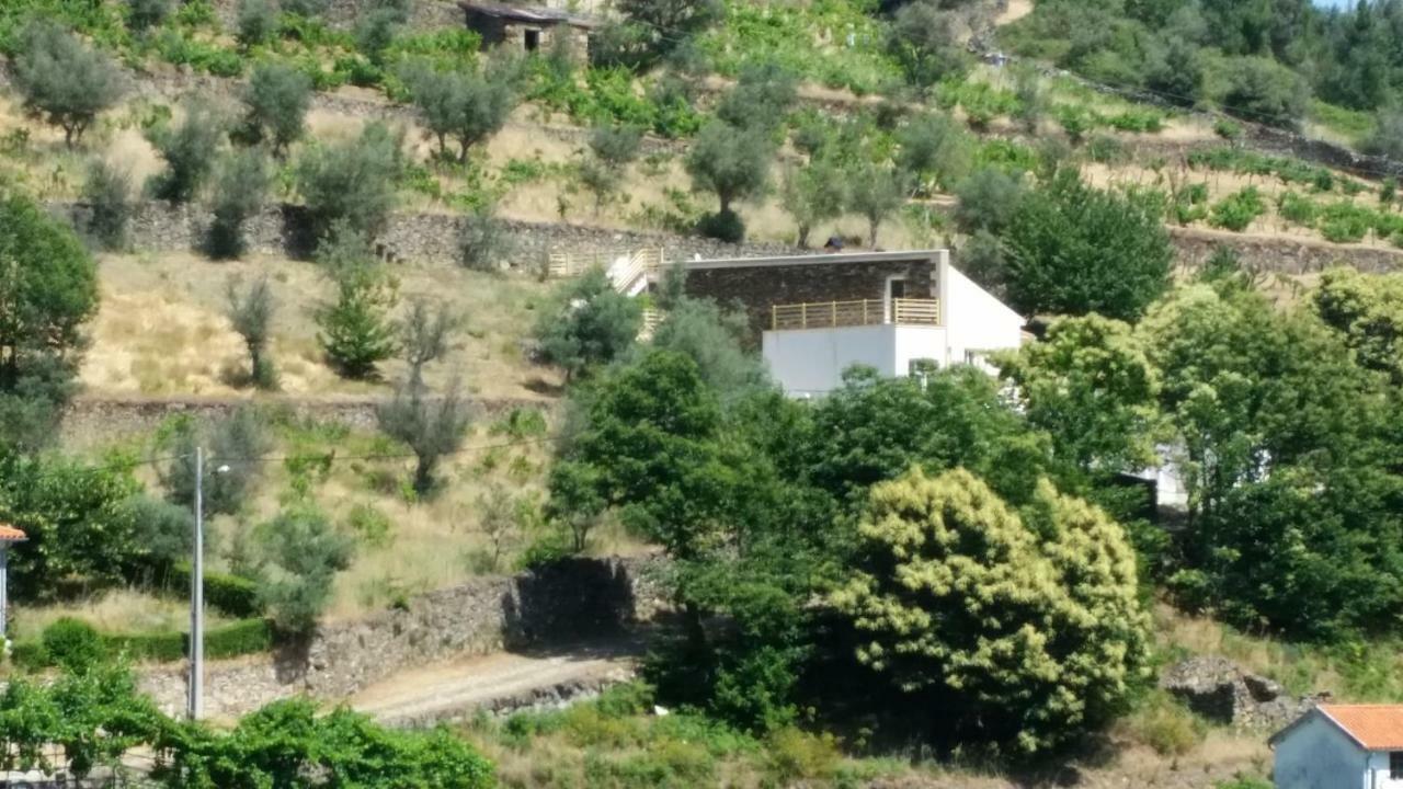 Casa Das Oliveiras - Manteigas Exteriör bild